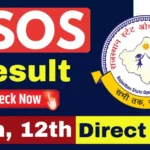 RSOS Result 2024